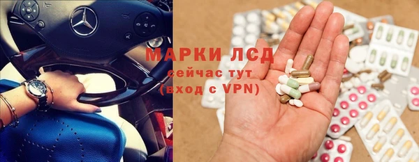 амф Новокубанск