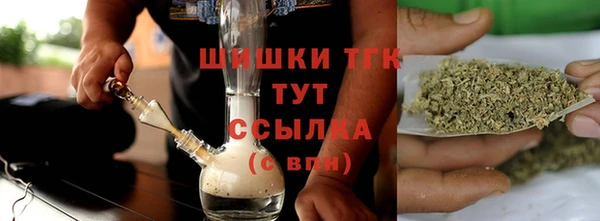 молекула духа Новодвинск