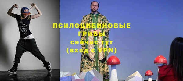 амф Новокубанск