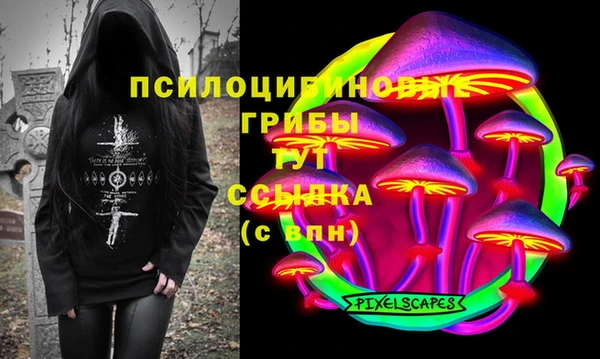 амф Новокубанск