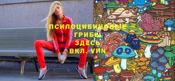 амф Новокубанск