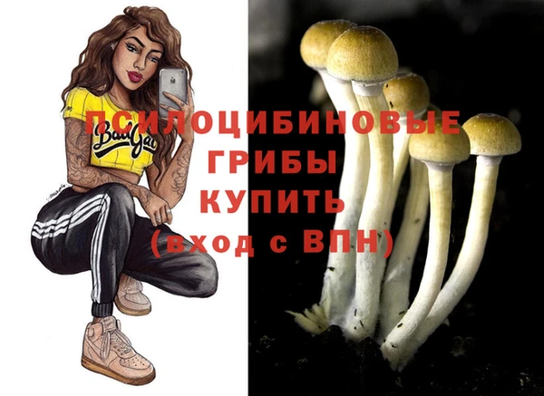 молекула духа Новодвинск